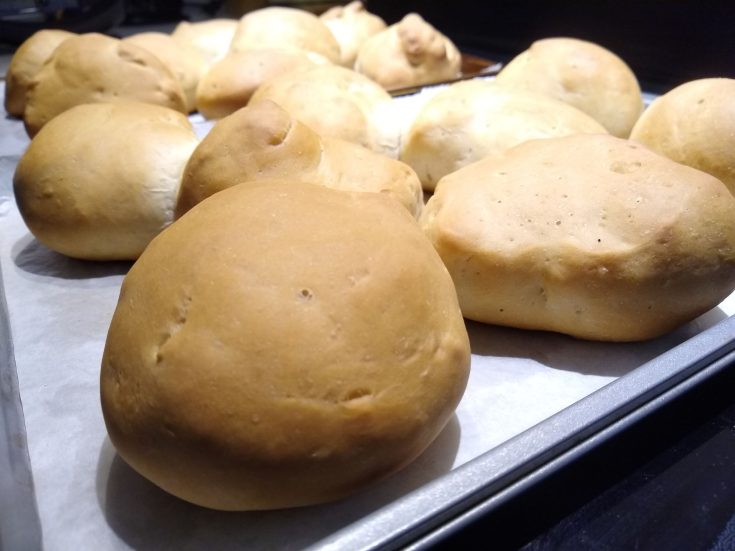 All Purpose Dinner Rolls